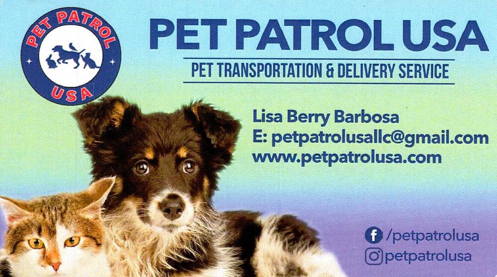 Pet Patrol USA
<strong>Lisa Berry Barbosa</strong><br />Pet Patrol USA<br />[url=https://www.petpatrolusa.com][img]https://izadex.net/themes/izadex/images/contact-web.png?v=254g71[/img][/url] [url=mailto:petpatrolusallc@gmail.com][img]https://izadex.net/themes/izadex/images/contact-email.png?v=254g71&izemail=petpatrolusallc%40gmail.com[/img][/url]
Keywords: Lisa Berry Barbosa Pet Patrol USA petpatrolusallc@gmail.com https://www.petpatrolusa.com pet transportation; pet delivery; dogs; cats; animal transport