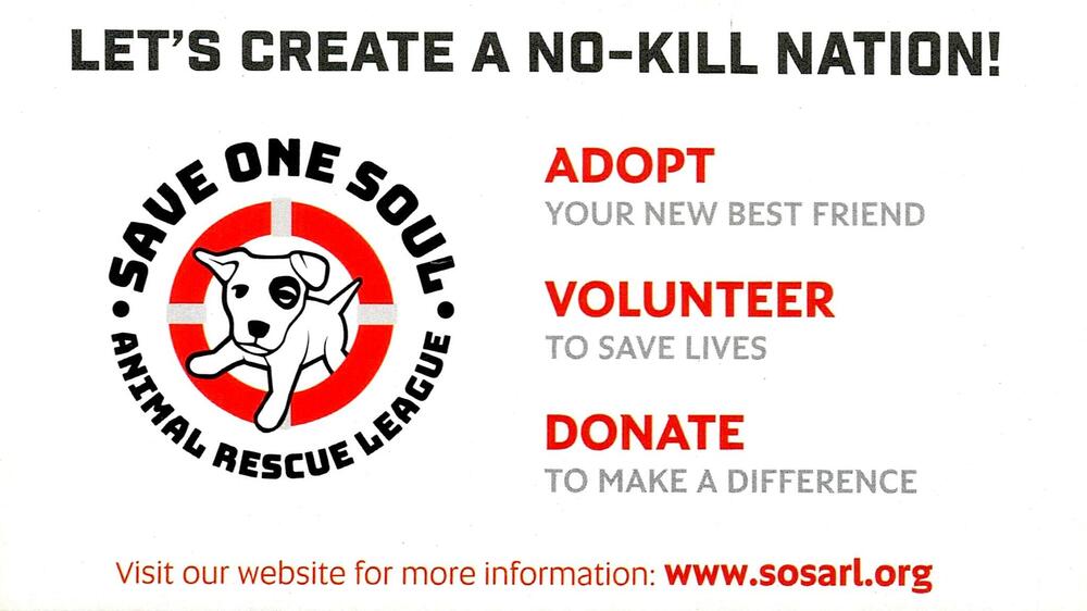 Save One Soul Animal Rescue League
Save One Soul Animal Rescue League<br />RI<br />[url=https://www.sosarl.org][img]https://izadex.net/themes/izadex/images/contact-web.png?v=254g71[/img][/url]
Keywords: Save One Soul Animal Rescue League www.sosarl.org RI